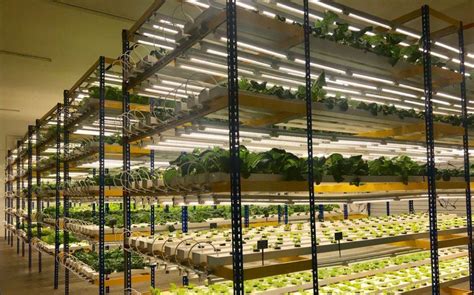 4 Malaysian Engineers Believe Vertical Farming Offers Answer To Food