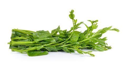 Premium Photo Malabar Spinach Or Ceylon Spinach On White Table