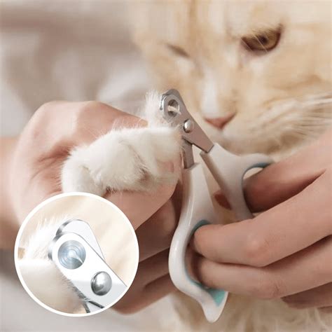 Clipport Cat Nail Clipper With Hole Guard Petites Paws