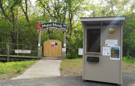 Photo of the Week: Magee Marsh Boardwalk - Lireo Designs