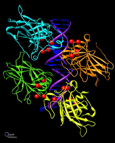 chimera image gallery