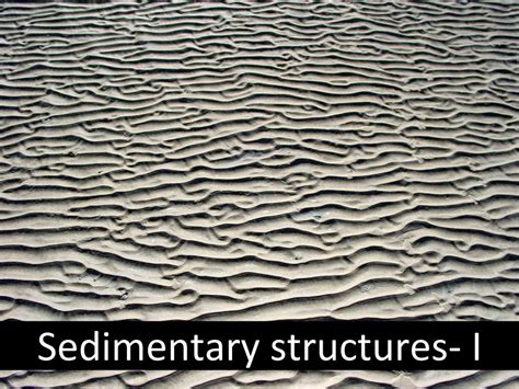 (PDF) Sedimentary structures- I - DOKUMEN.TIPS