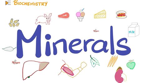 Your Body Needs Minerals Trace Elements Diet And Nutrition Youtube