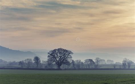 British Countryside Fields At Hazy Sunset Stock Photo Image Of Foggy