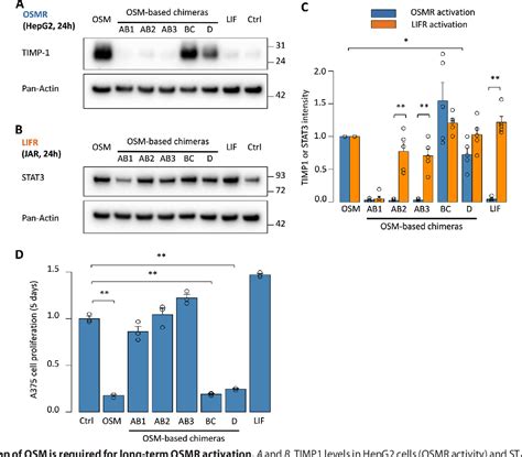 Figure From The Ab Loop And D Helix In Binding Site Iii Of Human