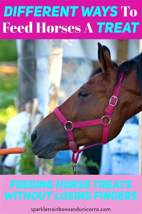 How To Feed A Horse Feliks Zeki