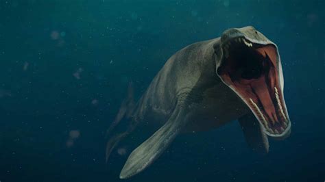 Mosasaurus Steckbrief And 7 Merkmale Zum Meeressaurier