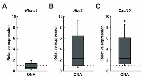 Cxcl10 Upregulation A RT QPCR Analyses Revealed No Differences In