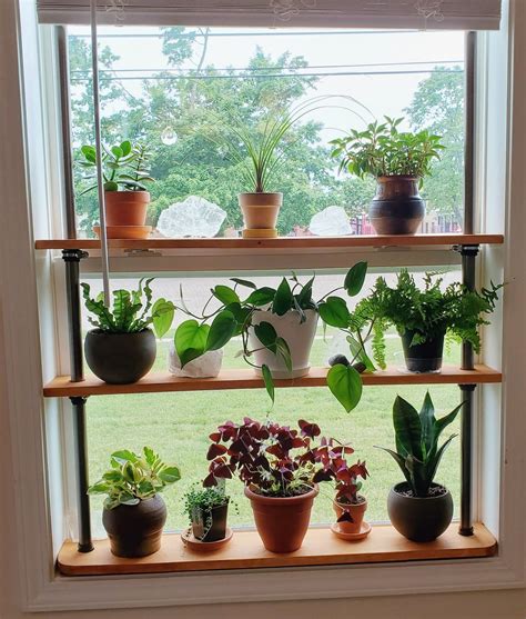 How To Choose The Best Window Sill Plant Shelf For Your Plants Plant