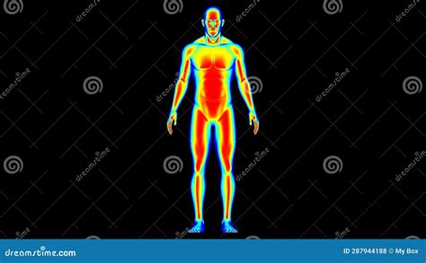 Human Body Temperature Warm Normal Cold Man Thermographic