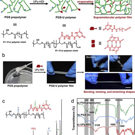 Synthesis Of Pgs U Polymer And Preparation Of Supramolecular Pgs U