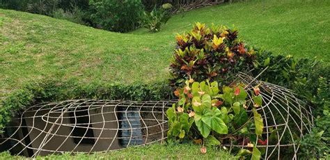 Delightful Hobbit House With Earth Roof Lake Arenal Properties