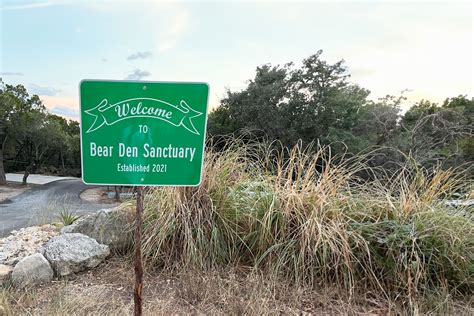 Products Archive Bear Den Cat Sanctuary