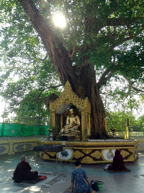 Stephanie's Travels: Yangon, Myanmar: Shwedagon Pagoda