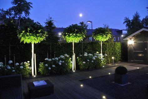 16 Tree uplighting ideas | landscape lighting, tree uplighting ...