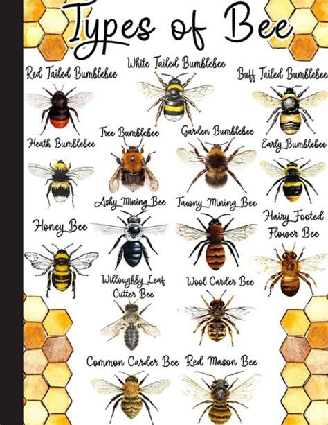 Types Of Bee Notebook: Bee Journal: Bee Gifts For Bee Lovers, Perfect