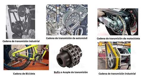 Descubre los diferentes tipos de cadenas y su aplicación en la