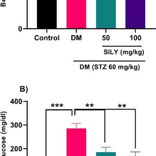 Schematic Of The Possible Effect Of Silymarin On Reducing Retinal