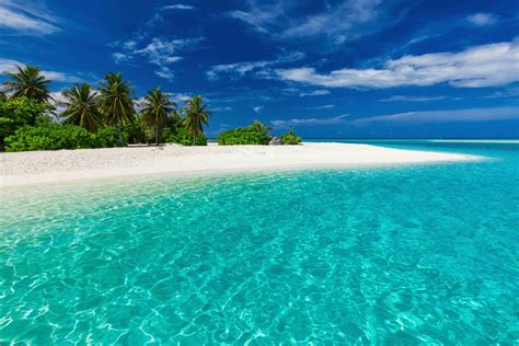 Fiji’s new climate change laws aim net-zero emissions by 2050 | TimesTravel