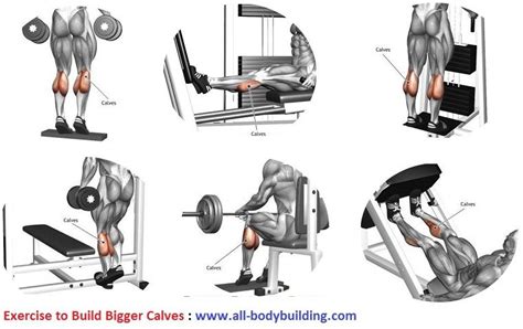 Calves Workout Chart