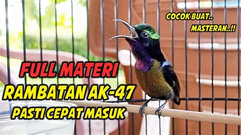 SUARA BURUNG KOLIBRI NINJA GACOR FULL ISIAN SUPER TAJEM COCOK BUAT