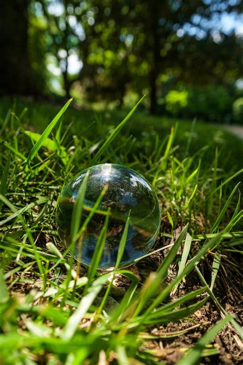 Crystal Ball Nature Stock Image Image Of Magic Mystic 192602761