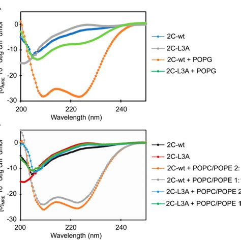 Circular Dichroism Spectra Of 2c Wt And 2c L3a With And Without