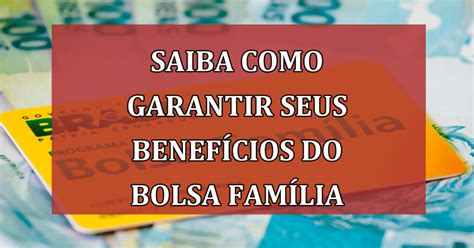 Saiba Como Verificar E Garantir Seus Benefícios Do Bolsa Família Antes