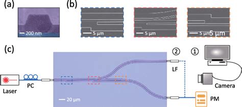 Figure 5 From Lithium Niobate Thin Film Polarization Beam Splitter Based On Asymmetric