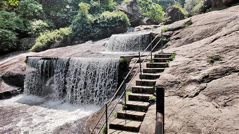 Explained What Did Indias First National Water Body Census Find