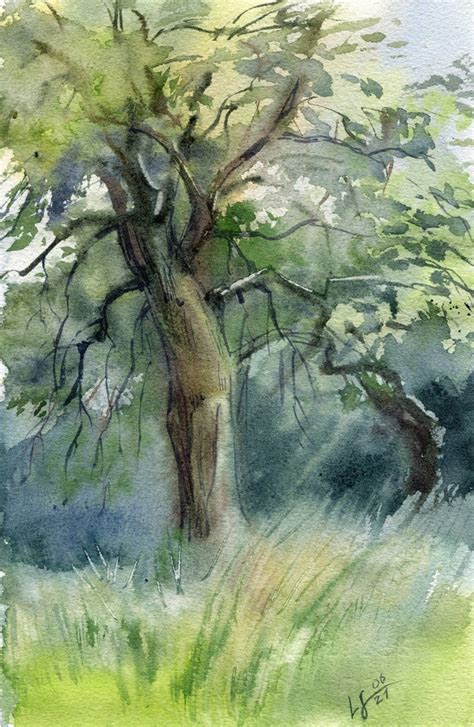 Watercolor landscape with an old tree Watercolour by SVITLANA LAGUTINA ...