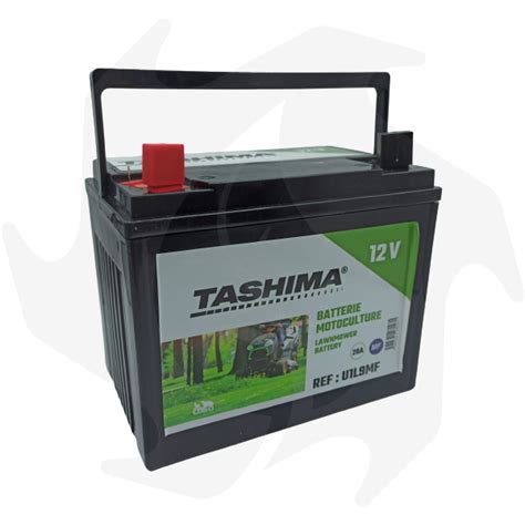 Batteria Tashima V Ah Per Trattorino Rasaerba Acquista Online