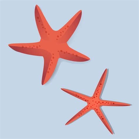 Free Vector Two Red Starfish Vector Illustrarion