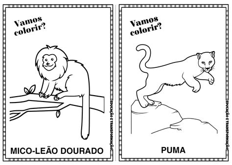 Animais Em Extinção Desenhos - 6