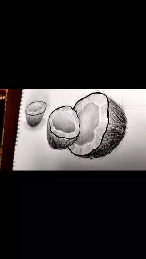 how to draw a coconut