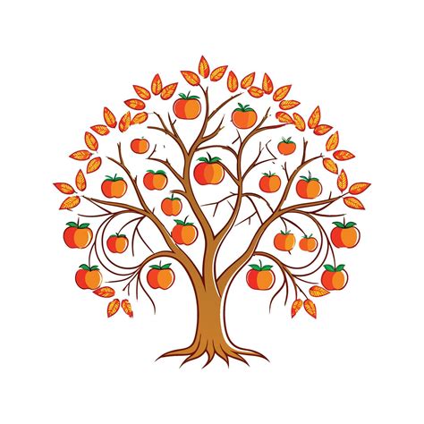 texas persimmon tree 3
