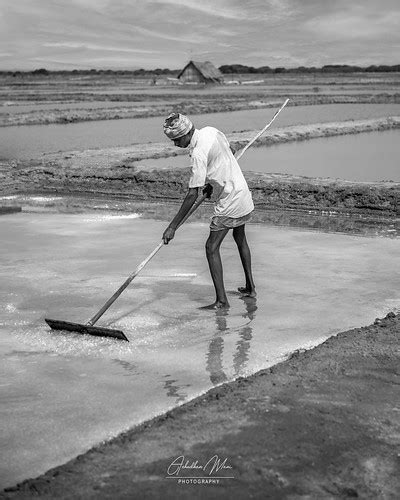 Salt Pan Salt Pans Of Marakkanam Achudhan Mani Flickr