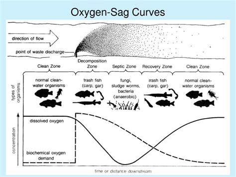 Ppt Biochemical Oxygen Demand Bod And Dissolved Oxygen Do