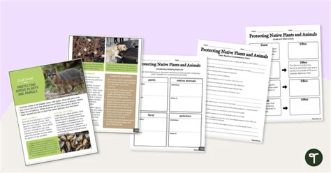 Plant And Animal Adaptations Poster Set Adapt Animal