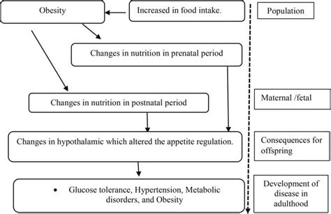 Maternal Obesity Understanding Its Impact And Consequences Intechopen