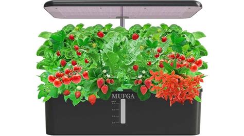 The Best Indoor Aquaponics Kit: Top 10 Winners for Growing Plants & Fish at Home