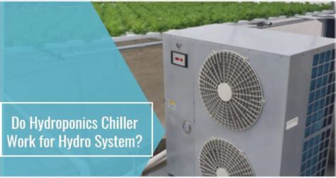 Do Hydroponic Chiller Work For Hydro System Lando Water Chillers