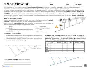 Free Collection of Cladogram Worksheets for Students - Worksheets Library