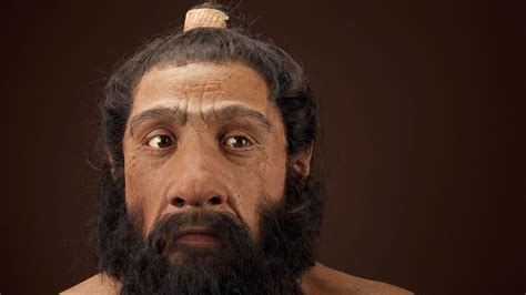 Crânios de humanos e neandertais revelam quando ambas as espécies se