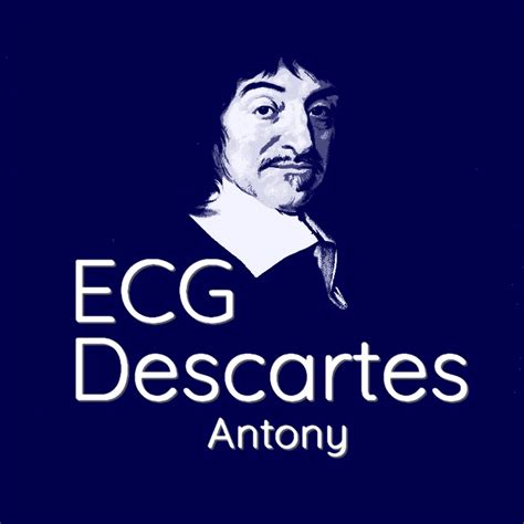 Ecg Descartes Youtube