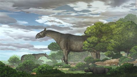 Scientists found fossils from the largest mammal to ever live on land