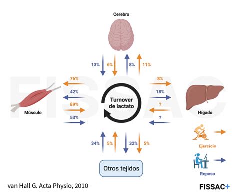 Frecuencia Cardiaca Copia Fissac