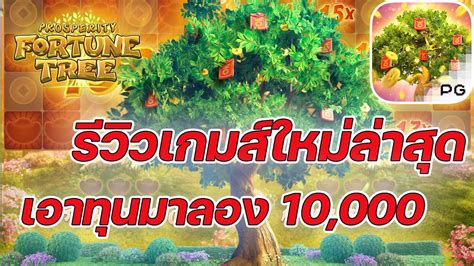 เกมสตนไม คายพจ PG SLOT เทคนคเลนเบท40หมน10X12 Prosperity