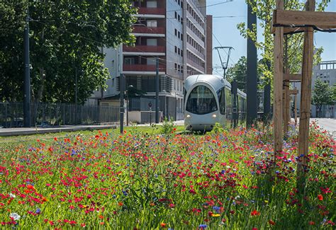 Projets Ilex Paysage Urbanisme