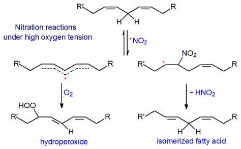 Nitro Fatty Acids Electrophiles Composition Formation And Biochemistry